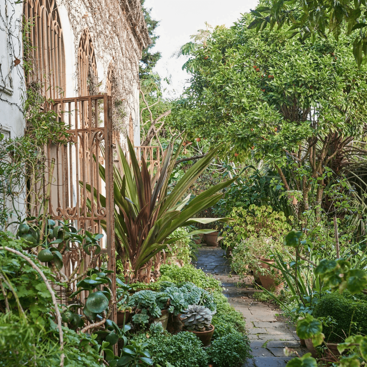 Kinfolk garden