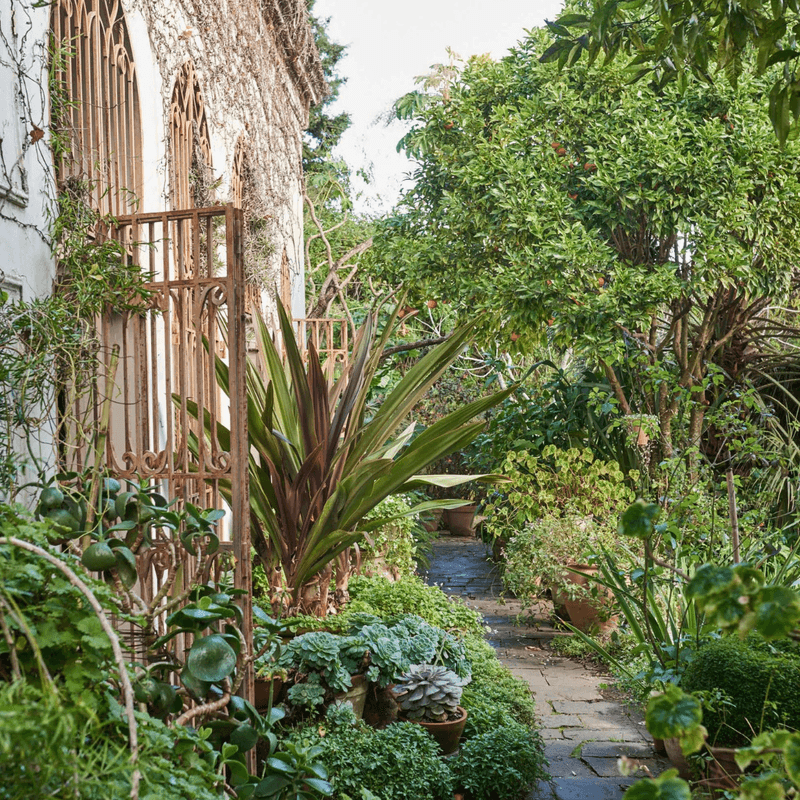 Kinfolk garden