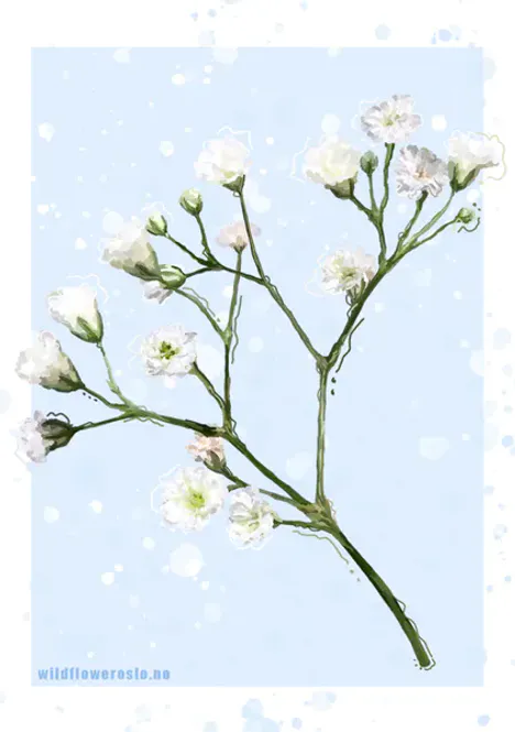 Hovedbilde Kort blomster #0051