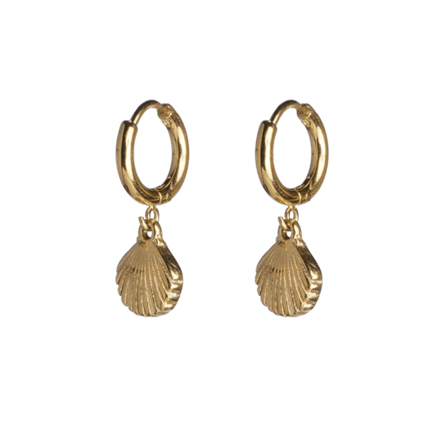 Hovedbilde shell hoops