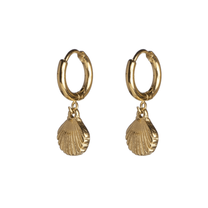 Hovedbilde shell hoops