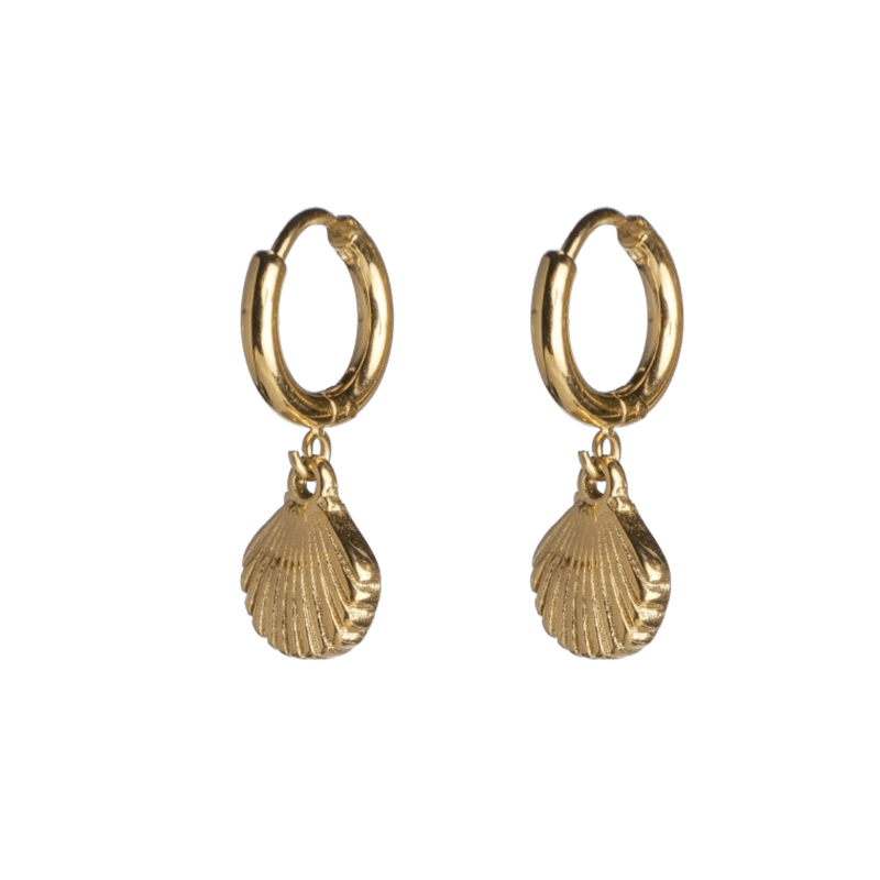 shell hoops