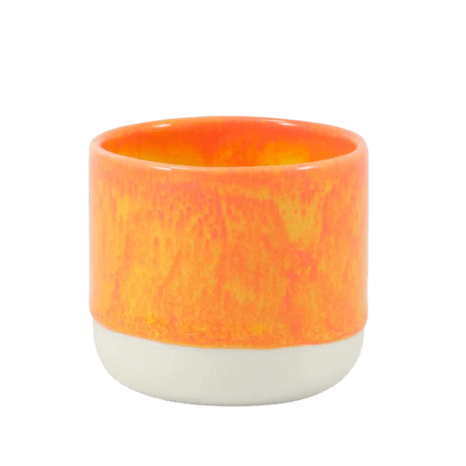 Hovedbilde Sip Cup - Tropicana