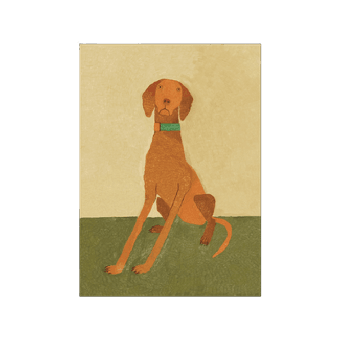 Hovedbilde Poster - Ellie the vizsla