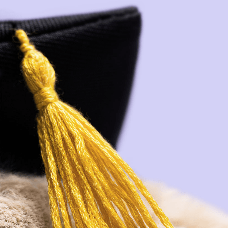 Jellcat - Bashful Bunny Graduation Outfit