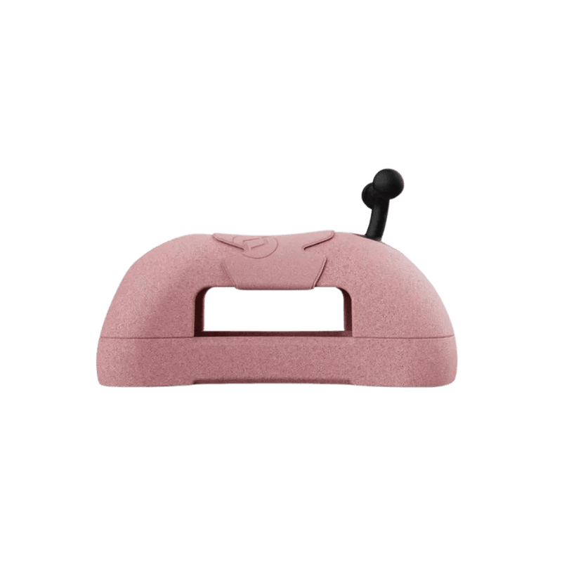 My first Scoot & Ride - Rose