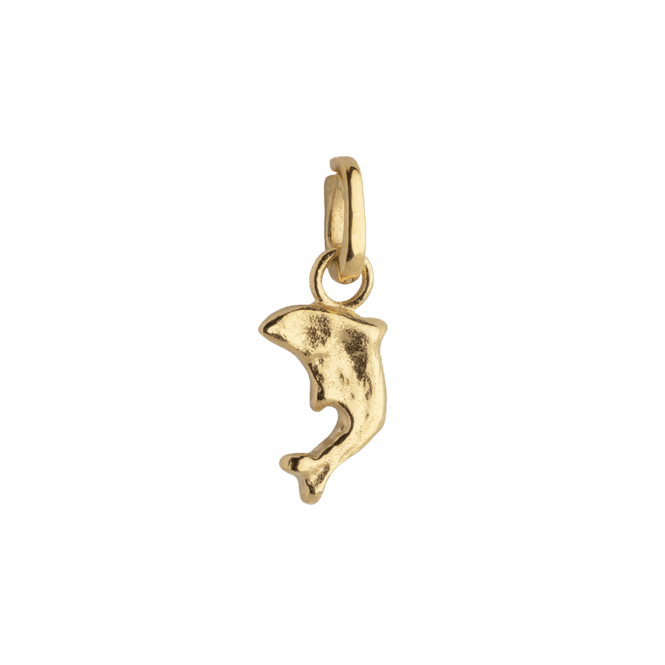 Hovedbilde Enamel Charm - Joyful Dolphin