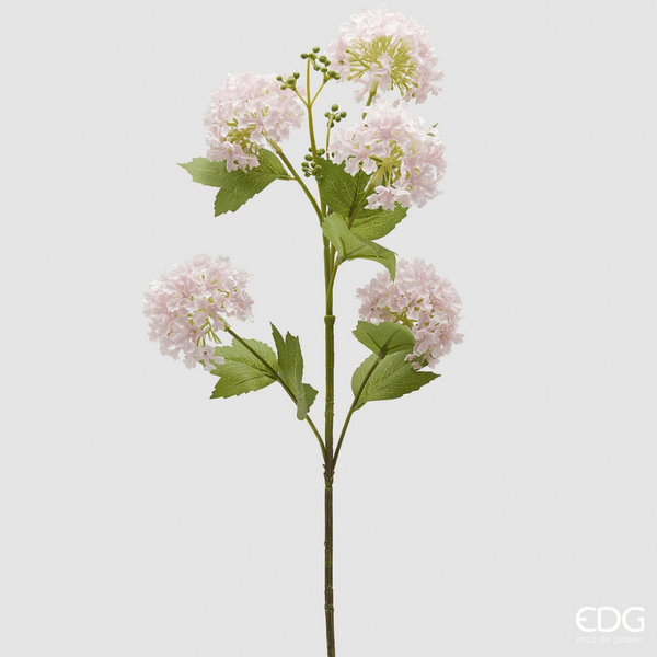 Hovedbilde Viburnum opulus, Lys rosa, 80 cm