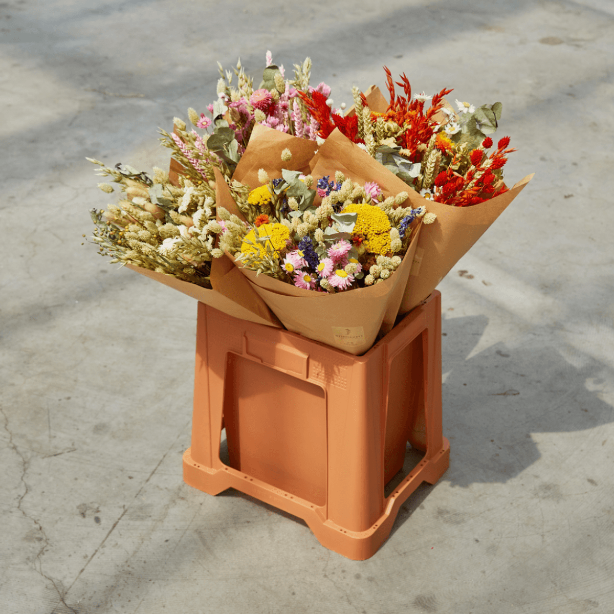 Dried Flowers - Classic Bouquet - Multi