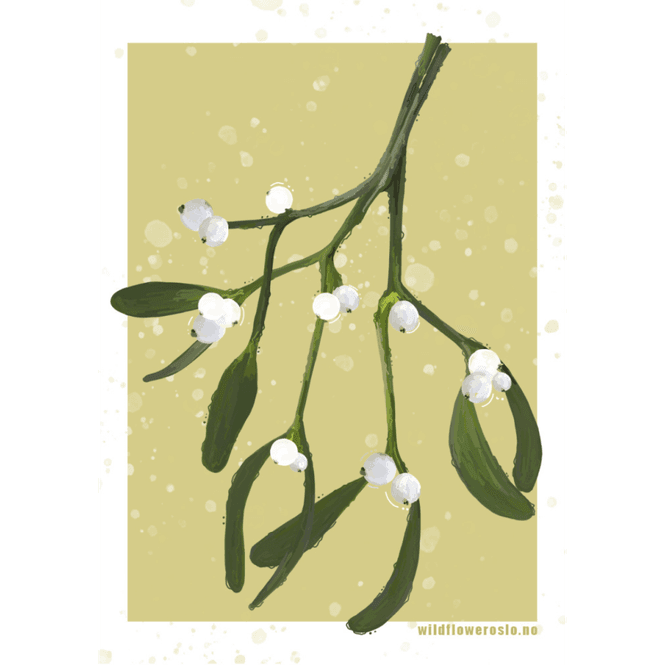 Hovedbilde Kort blomster #0111