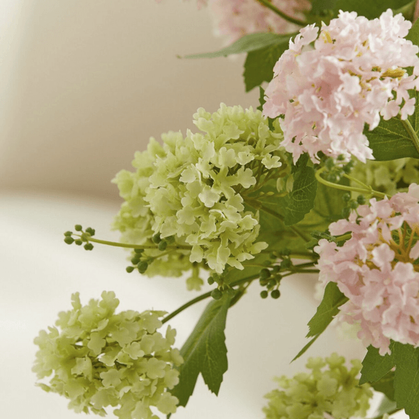 Hovedbilde Viburnum opulus, grønn, 80 cm